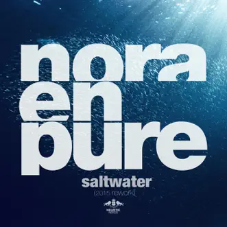 Saltwater (2015 Radio Rework) by Nora En Pure song reviws