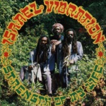 Israel Vibration - Perfect Love & Understanding