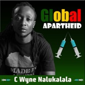 Global Apartheid artwork