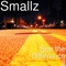 Lonestar to Sardom - Smallz lyrics
