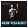What You Want - Single