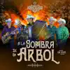 A La Sombra De Un Árbol album lyrics, reviews, download