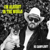 I'm Alright In the World artwork