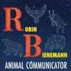 Robin Bienemann - Tmi