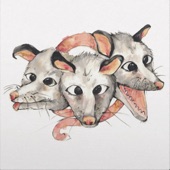 Opossums - Reaching Out