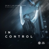 In Control (feat. Ade Adefala, Funmi Anyaneto & Faith Dynamite Voice) artwork