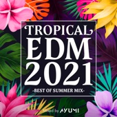 TROPICAL EDM 2021 -BEST OF SUMMER MIX- mixed by DJ AYUMI (DJ MIX) artwork