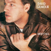 Out of the Blue - David Gilmour