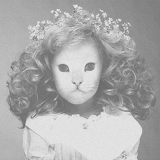 Cover artwork for Destroy Me