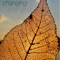 Changing (feat. Johnald) - KNOX lyrics
