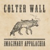 Sleeping on the Blacktop by Colter Wall iTunes Track 1