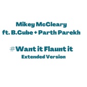 Want It Flaunt It (Extended Version) [feat. B.Cube & Parth Parekh] artwork