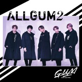 ALLGUM2 artwork