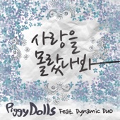 사랑을 몰랐나봐 (feat. Dynamicduo) artwork