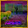 Kill The Noise - Single album lyrics, reviews, download