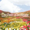 Too Good To Not Believe (Radio Version) - Single, 2021