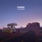 Washed Out - WYS & Sweet Medicine lyrics