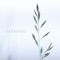 Offshore Wind - Trevanna lyrics