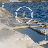 Cold Cuts (Theo Kottis Remix) artwork
