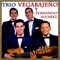 Así Eres Tú - Trio Vegabajeño & Fernando Alvarez lyrics