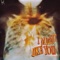 Herzsplitter (feat. Cubbie) - Murcy lyrics