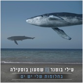 בחלומות שלי יש ים artwork