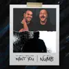 Want You / Numb - Single album lyrics, reviews, download