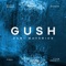 Gush (feat. Kunle Kenny, Fiyin Adeniyi, Defayo & Fidel) artwork