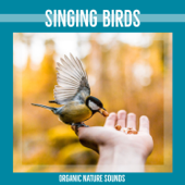 Natural Bird Sounds - Birds & Organic Nature Sounds