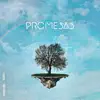Promesas (feat. Indiomar) - Single album lyrics, reviews, download