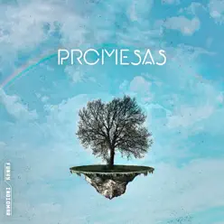 Promesas (feat. Indiomar) - Single - Funky