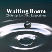 Waiting Room - 20 Songs for Deep Relaxation, Calming Nature Sounds artwork