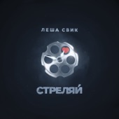 Стреляй artwork