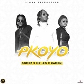 Pkoyo (feat. Gomez Oba & Kameni) artwork