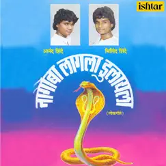 Nagoba Lagla Dulayala by Anand Shinde & Milind Shinde album reviews, ratings, credits