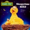 Big Bird's Lullaby - Big Bird, The Sesame Street Cast & Little Bird lyrics