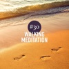 #30 Walking Meditation: Zen Music for Relaxation, Aliveness, Vital Energy & Reflection