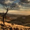 Emerging - Nat Bartsch lyrics
