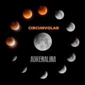 Circunvolar artwork