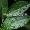 Stream & download Calm Sounds of Rain to Fall Asleep To