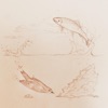 The Bird and the Fish - Single
