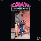 Tony Orlando & Dawn - I Didn't Mean to Love You So Good, Juanita