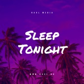 Sleep Tonight artwork