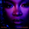 Access Denied by RAY BLK