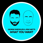 What You Want artwork