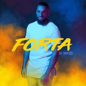 Forta artwork