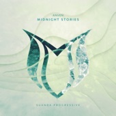 Midnight Stories (Extended Mix) artwork