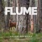 Flume (feat. Thom Cooper) [Acoustic Version] - Devon Seyward lyrics