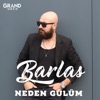 Neden Gülüm - Single