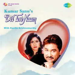 Dil Tere Naam - Kavita Krishnamurthy Dil Tere Naam - Kavita Krishnamurthy